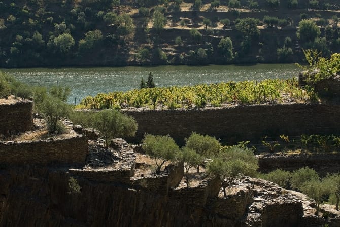 Quinta Da Boavista, Covas do Douro <br>© Coleção Museu do Douro/ Egídio Santos